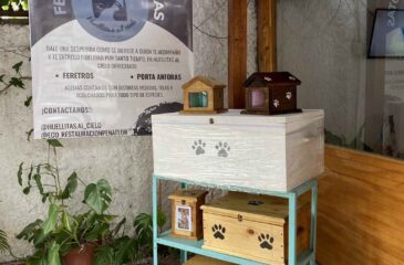 Honrando a Nuestras Mascotas: Huellitas Al Cielo