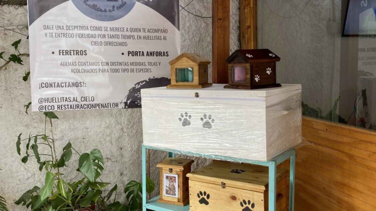 Honrando a Nuestras Mascotas: Huellitas Al Cielo