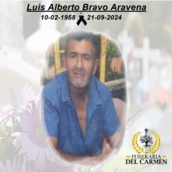 Luis Bravo Aravena