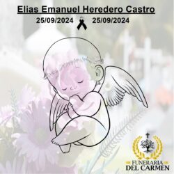 Elias Heredero Castro